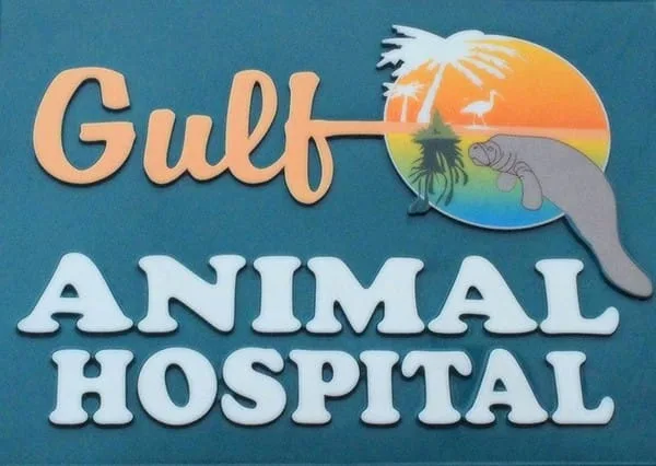 Gulf Animal Hospital